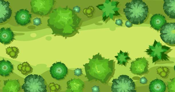 Beautiful summer landscape with trees. Clearing glade in forest. View from above. Illustration in a flat style. Scenarios from above. Cartoon design. Vector.