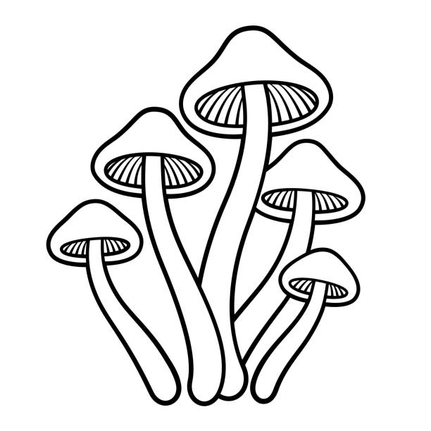 魔法のキノコの描画 - magic mushroom psychedelic mushroom fungus点のイラスト素材／クリップアート素材／マンガ素材／アイコン素材