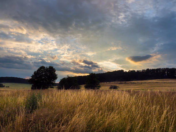istock Beautiful landscape in Jena at Summer while sunset, copy space 1347101533