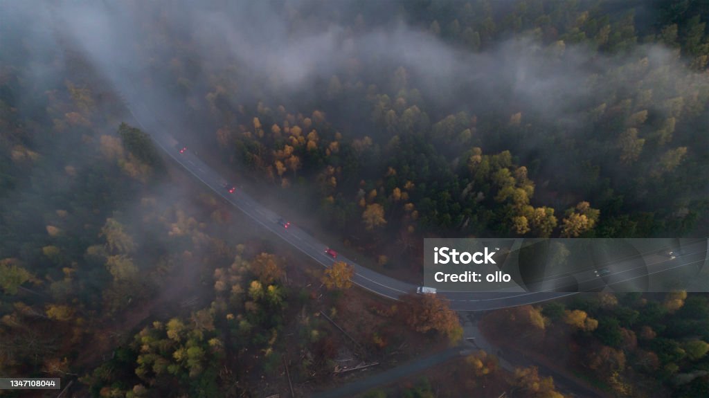 Nebbia sulle montagne del Taunus, area forestale e strada - vista aerea - Foto stock royalty-free di Albero Nebbia sulle montagne del Taunus, area forestale e strada - vista aerea - Foto stock royalty-free di Albero
