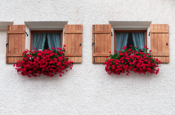 istock Two identical windows of a house in Samnaun 1347109309