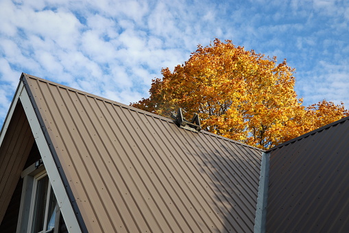 Brown metalic roof house under the autmn tree against blue sky .