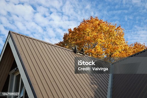 istock Brown metalic roof house under the autmn tree against blue sky 1347109327