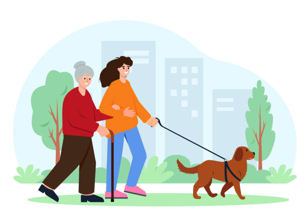 ilustrações de stock, clip art, desenhos animados e ícones de social care for elderly people and volunteering concept. - senior adult wheelchair community family