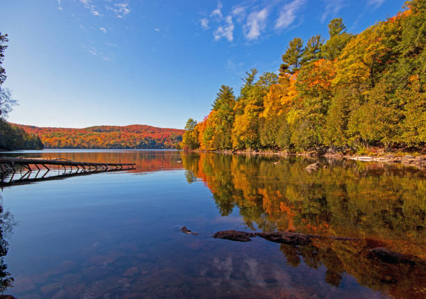 istock Trees with fall foliage reflecting on calm water 1347113941