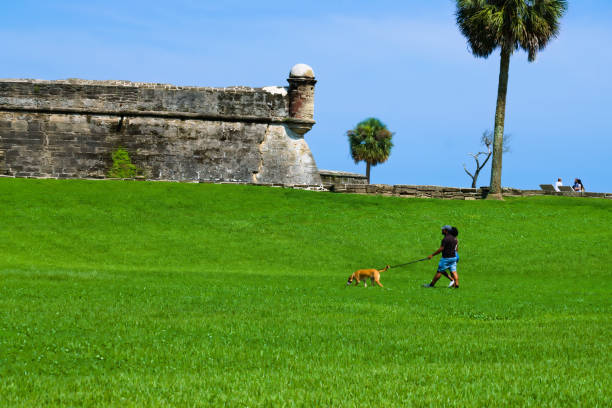 人々はフォートのそばで犬を歩く - st augustine florida usa fort ストックフォトと画像