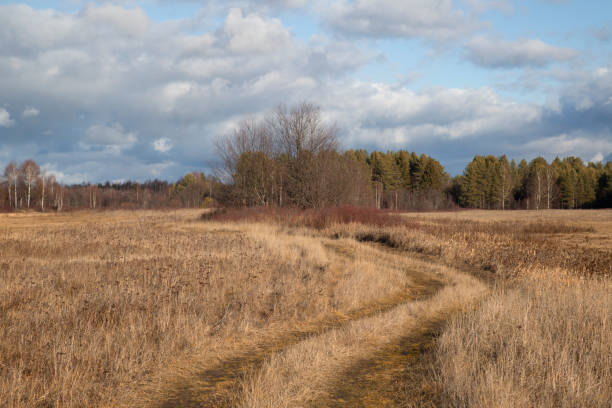 istock The road in autumn. 1347115944