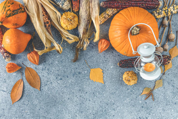 Setting modern elegant gray orange and white themed table with pumpkins centerpiece flat lay
