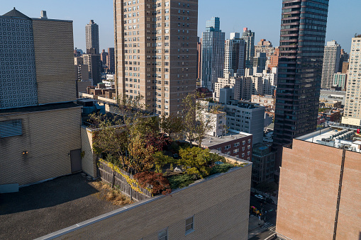 Green roof with a garden and patio on a rooftop of a residential building in Upper East Side, Manhattan, New York City, USA.