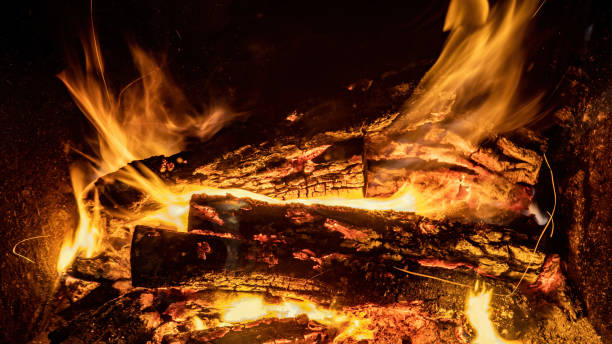 istock Burning billets in hot stove 1347121750
