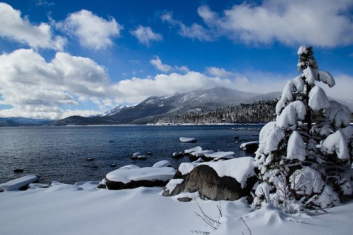 fresh snow fall on a cold morning, west shore of lake tahoe california