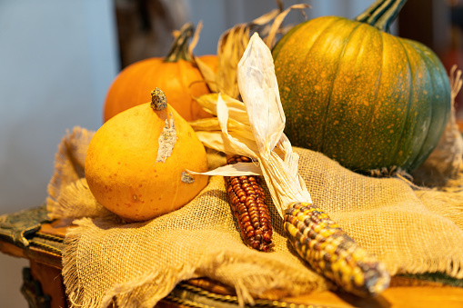A rustic table decoration for Halloween including a pumpkin, a squash, corn on the cob, pinecones, moss and an oak branch on a warm hessian tablecloth in Autumn - 005