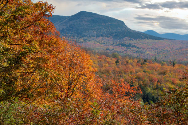 istock Autumn scene in White Mountain National Forest 1347126618
