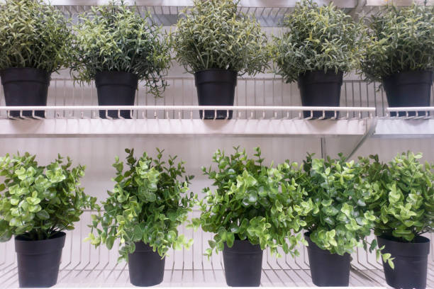 istock Flower pots hanging in a wall. 1347131017