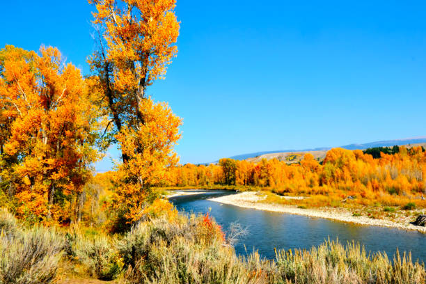istock Grand Teton landscape 1347135673