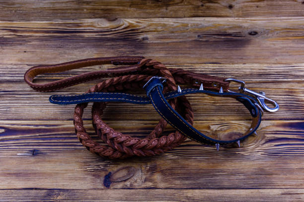 istock Brown leather dog leash and collar on a wooden background 1347136584