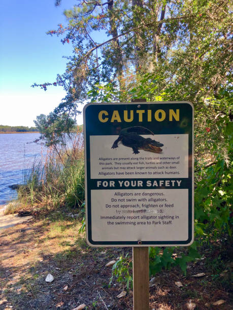 istock Wild animal warning sign 1347136983