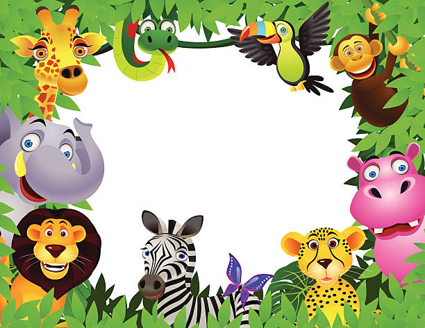 zwierzę kreskówka, - tropical rainforest animal cartoon lion stock illustrations