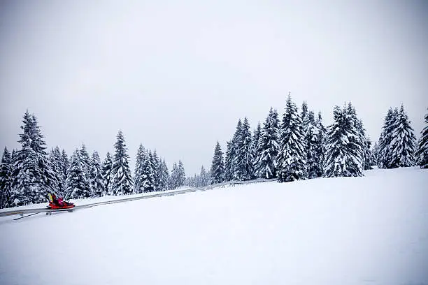 Rollercoaster Zlodejevo in winter,mountain Rogla...Slovenia