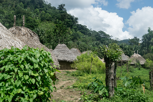 Pueblo indígena Kogui con chozas photo