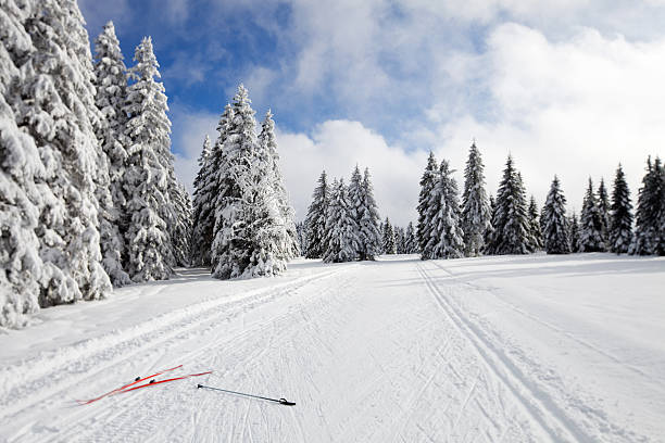 istock Ski runner on a beautiful winter day....Rogla,Slovenia 134714462
