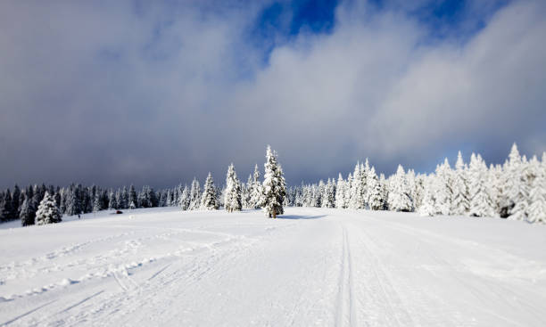 istock Ski runner on a beautiful winter day....Rogla,Slovenia 134714681