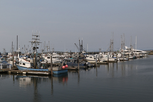 Row of fishing boats at Westport Harbor, Washington