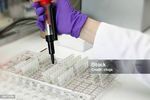 아름다운 기술자가 작업을 혈액 은행 임상병리실 건강관리와 의술에 대한 스톡 사진 및 기타 이미지 - 건강관리와 의술, 과학 실험, 기술자