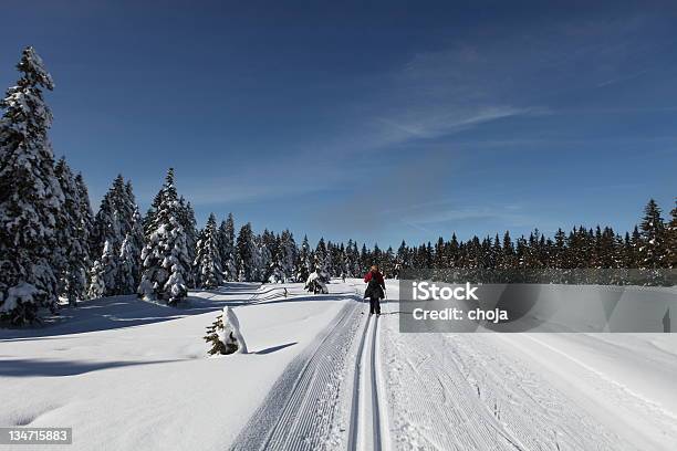 스키복 Runner 있는 아름다운 겨울맞이 Dayrogla 슬로베니아 겨울에 대한 스톡 사진 및 기타 이미지 - 겨울, 겨울 스포츠, 눈-냉동상태의 물