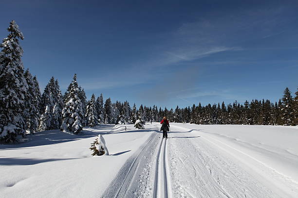 istock Ski runner on a beautiful winter day....Rogla,Slovenia 134715883