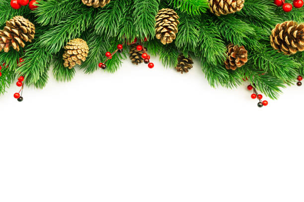 istock Christmas and New Year background with green spruce branches, cones and red berries, white banner, top view, copy space 1347159074