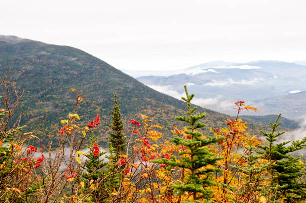 Autumn in the mountains