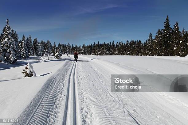 Sci Runner Su Un Bellissimo Inverno Dayrogla Slovenia - Fotografie stock e altre immagini di Adulto