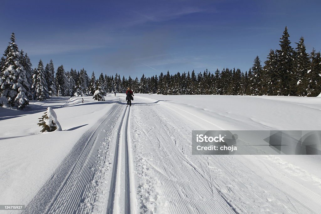 Corredor de esqui de inverno em um belo day.Rogla, Eslovênia - Foto de stock de Adulto royalty-free