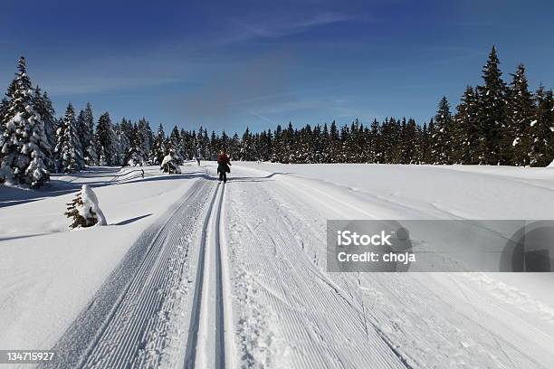 Foto de Corredor De Esqui De Inverno Em Um Belo Dayrogla Eslovênia e mais fotos de stock de Adulto