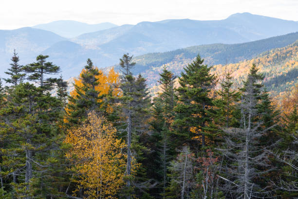 istock New England Foliage from Kancamagus Highway 1347160147