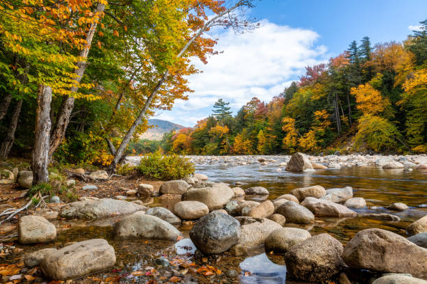 istock Fall Foliage on River off Kancamagus Highway 1347160442