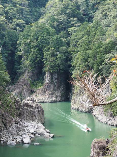 istock View of beautiful valley with green river water and steep cliffs 1347162797