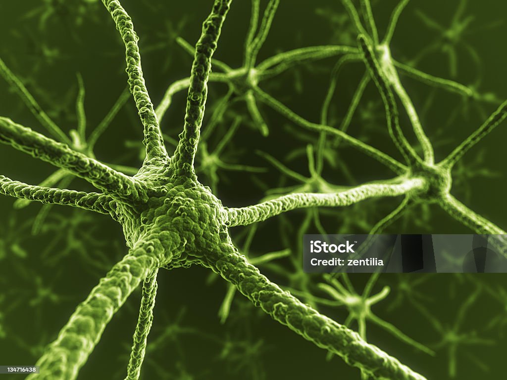 Neurons - Photo de Anatomie libre de droits