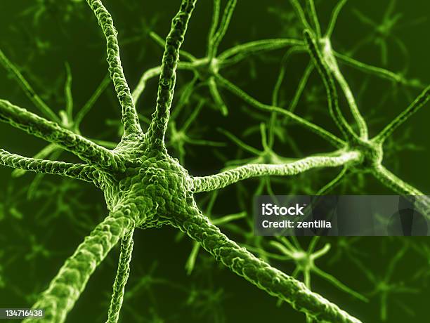 Photo libre de droit de Neurons banque d'images et plus d'images libres de droit de Anatomie - Anatomie, Biologie, Cellule