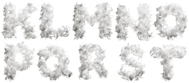 istock Alphabet made of chicken feathers 134716926