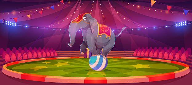 Circus elephant stand on ball at big top arena