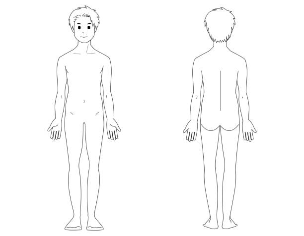 istock Full body illustration of a man. Beauty. Vector illustration. 1347173577
