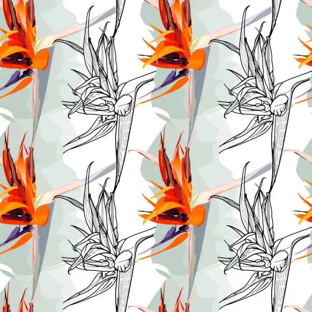 Vector illustration of Pattern of hand drawn flower Strelitzia (bird-of-paradise): graphic colour illustration, botanical sketch for postcard, posters, notebooks...