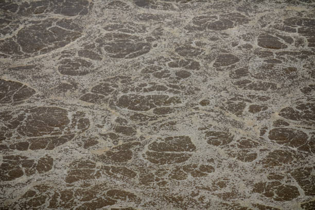 Details from a wastewater treatment plant in Bucharest.