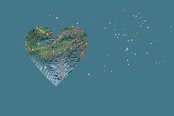 Spruce thorny branches inside a heart - shaped cutout on a solid dark green background . The concept of Christmas and New Year
