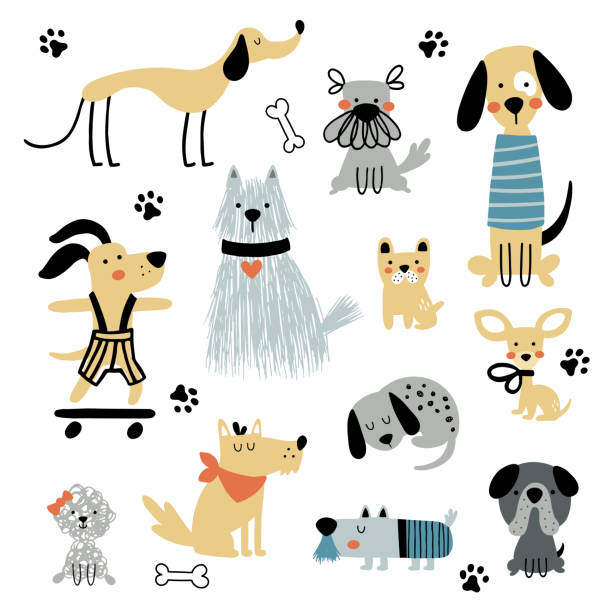 ilustraciones, imágenes clip art, dibujos animados e iconos de stock de conjunto vectorial de perros divertidos en estilo escandinavo - dog school illustrations