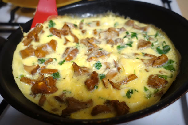 omelette with chanterelles being cooked in a frying pan  autumn season - chanterelle golden chanterelle edible mushroom mushroom imagens e fotografias de stock