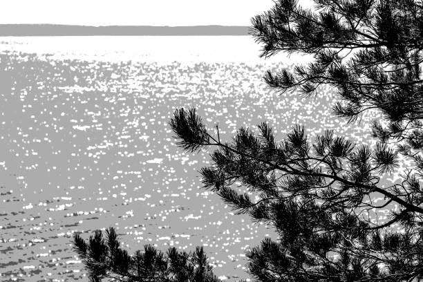Photographed at Salor reservoir. Caceres. Extremadura Spain.