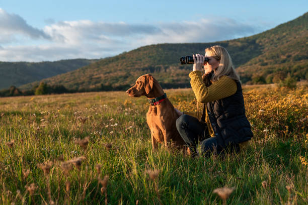 junge jägerin mit fernglas zur vogelbeobachtung mit ungarischem vizsla-hund an ihrer seite, draußen auf einer wiese an einem schönen sonnigen herbstabend. jagd mit einem jagdhund. - tiere bei der jagd stock-fotos und bilder